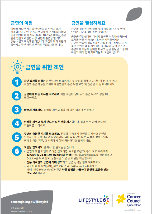 Lifestyle 6 Smoking and cancer risk (Korean) (Digital PDF) – Cancer ...