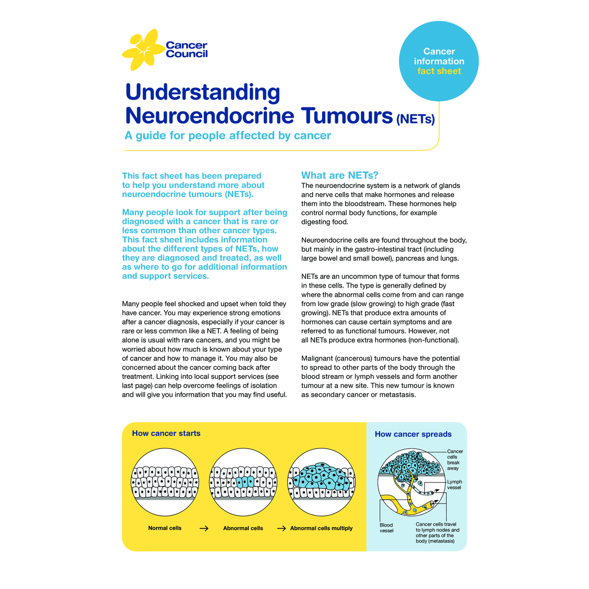 Understanding Neuroendocrine Tumours Pdf Download Cancer Council Queensland Resources 