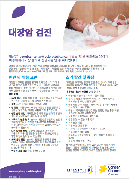 Lifestyle 6 Bowel Cancer Screening (Korean) PDF Download