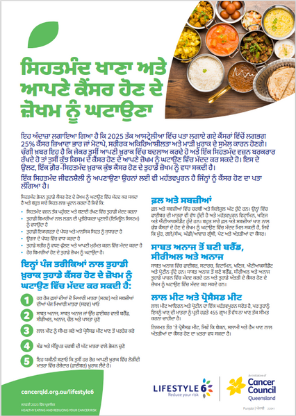 Lifestyle 6 Healthy Eating and Reducing Cancer Risk (Punjabi) PDF Download