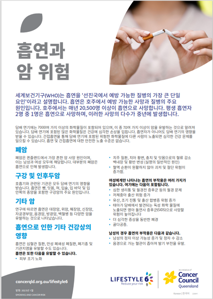 Lifestyle 6 Smoking and cancer risk (Korean) PDF Download