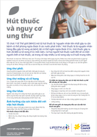 Lifestyle 6 Smoking and cancer risk (Vietnamese) PDF Download