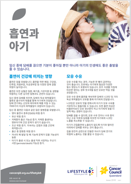 Lifestyle 6 Smoking and Your Baby (Korean) PDF Download