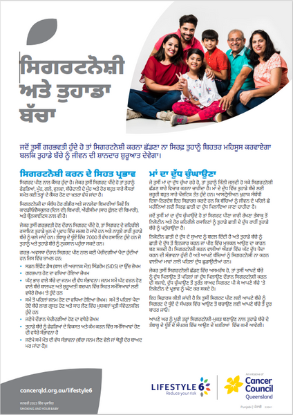 Lifestyle 6 Smoking and Your Baby (Punjabi) PDF Download