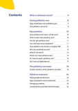 Understanding Palliative Care (PDF Download)