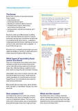Understanding Secondary Bone Cancer (Digital PDF)