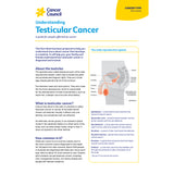 Understanding Testicular Cancer (PDF download)