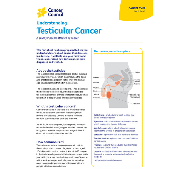 Understanding Testicular Cancer (PDF download)
