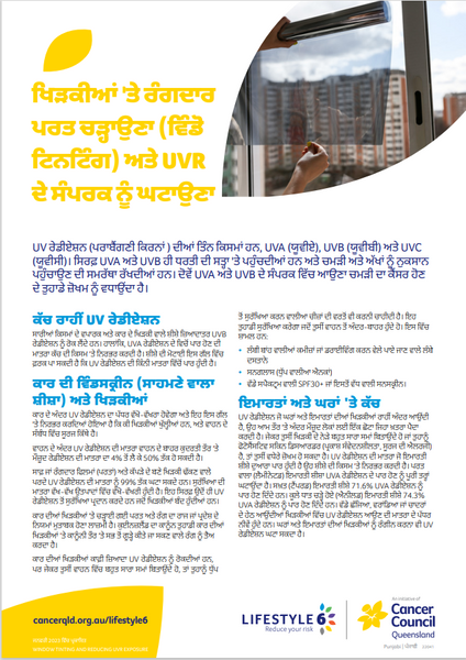 Lifestyle 6 Window Tinting and Preventing UV Rays (Punjabi) PDF Download