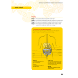 Bowel Cancer (PDF Download)