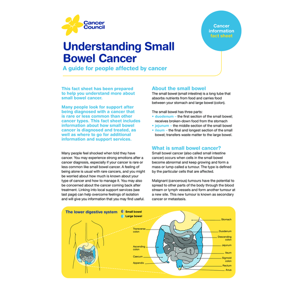 Understanding Small Bowel Cancer (PDF Download)